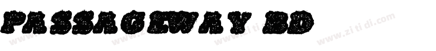 Passageway Bd字体转换
